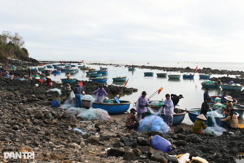 Đánh cá bằng “lưới dòng họ” kiếm 500.000 đồng mỗi ngày - 1 Đánh cá bằng “lưới dòng họ” kiếm 500.000 đồng mỗi ngày - 1