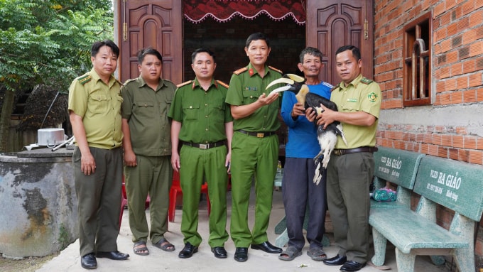 Người dân bàn giao chim hồng hoàng cho lực lượng chức năng. Ảnh: Nam An