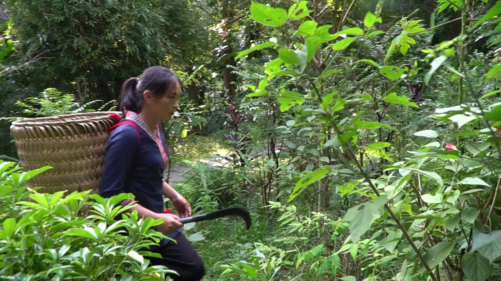 Du khách trải nghiệm tắm lá thuốc của người Dao đỏ