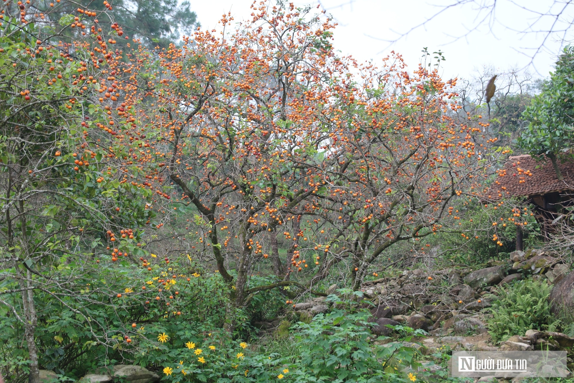 Người đàn ông 9X bỏ “trời tây” về quê khởi nghiệp tạo ra đặc sản mang hương vị hồn quê - Ảnh 1.