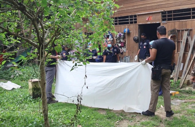 Khỉ hoang cắn chết người khiến dân làng hoảng loạn, một gia đình phải bỏ nhà - Ảnh 1. Khỉ hoang cắn chết người khiến dân làng hoảng loạn, một gia đình phải bỏ nhà - Ảnh 1.