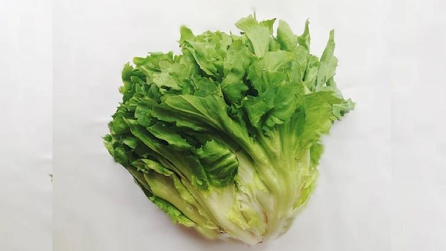 2 loại rau “khoái khẩu” mùa lạnh dễ thành ổ sán, nhất cái số 1 ngoài chợ bán nhiều - Ảnh 1.