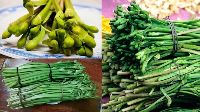 Loài rau dại mọc bờ mương hoá "mỏ tiền", là đặc sản lạ được săn tìm - Ảnh 4.