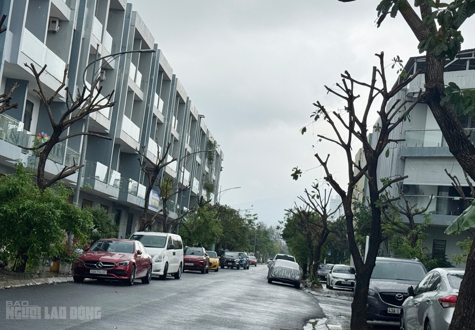 Khu đô thị quốc tế Đa Phước thi công trở lại sau nhiều năm ngừng trệ - Ảnh 8. Khu đô thị quốc tế Đa Phước thi công trở lại sau nhiều năm ngừng trệ - Ảnh 8.