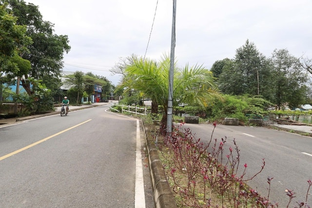 Đà Nẵng có con đường kỳ lạ với ngôi nhà giữa Đường cong mềm mại - Ảnh 5. Đà Nẵng có con đường kỳ lạ với ngôi nhà giữa Đường cong mềm mại - Ảnh 5.