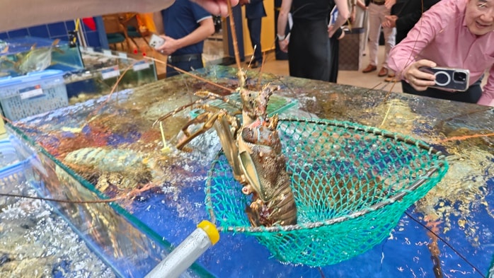 Xuất khẩu tôm lập kỷ lục - Ảnh 1.