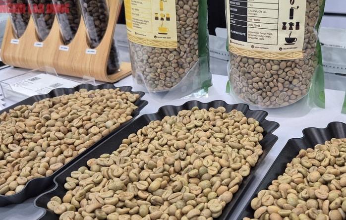 Giá cà phê hôm nay 9-12: Lao dốc tiếp - Ảnh 1.