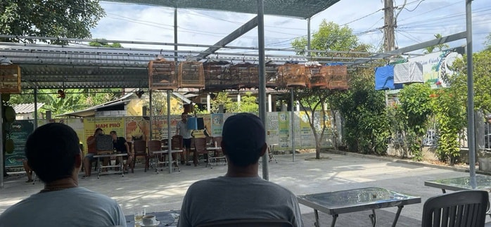 Chim nuôi lâu ngày làm sao chứng minh nguồn gốc hợp pháp để được mang theo khi uống cà phê?- Ảnh 3.