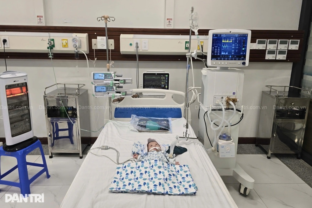 Bé 3 tháng tuổi nguy kịch vì sốc nhiễm khuẩn, cha mẹ nghèo bất lực cầu cứu - 1 Bé 3 tháng tuổi nguy kịch vì sốc nhiễm khuẩn, cha mẹ nghèo bất lực cầu cứu - 1