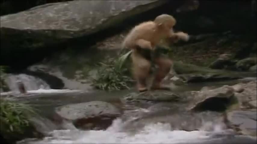 Hậu trường Ngộ Không ở Hoa Quả Sơn phim 'Tây du ký'