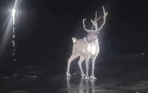 Vệt sáng lạ trên bầu trời Anh gây xôn xao - Ảnh 3.