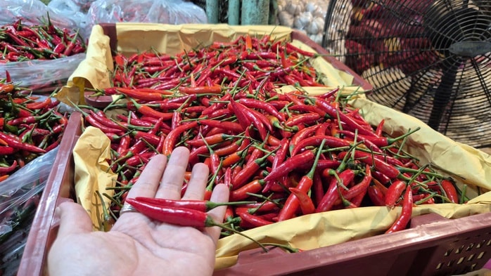 - Ảnh 2. - Ảnh 2.