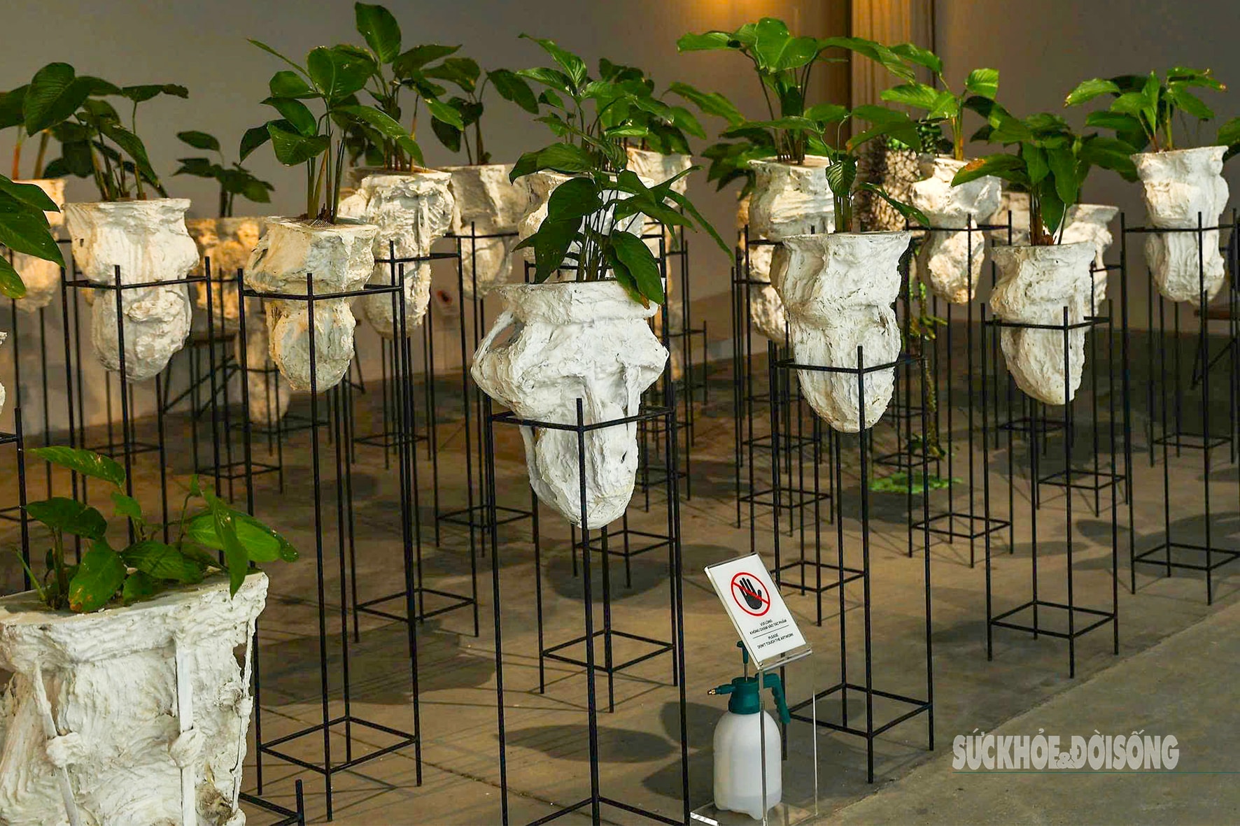 Cuộc tái sinh của vật liệu cũ- Ảnh 6.