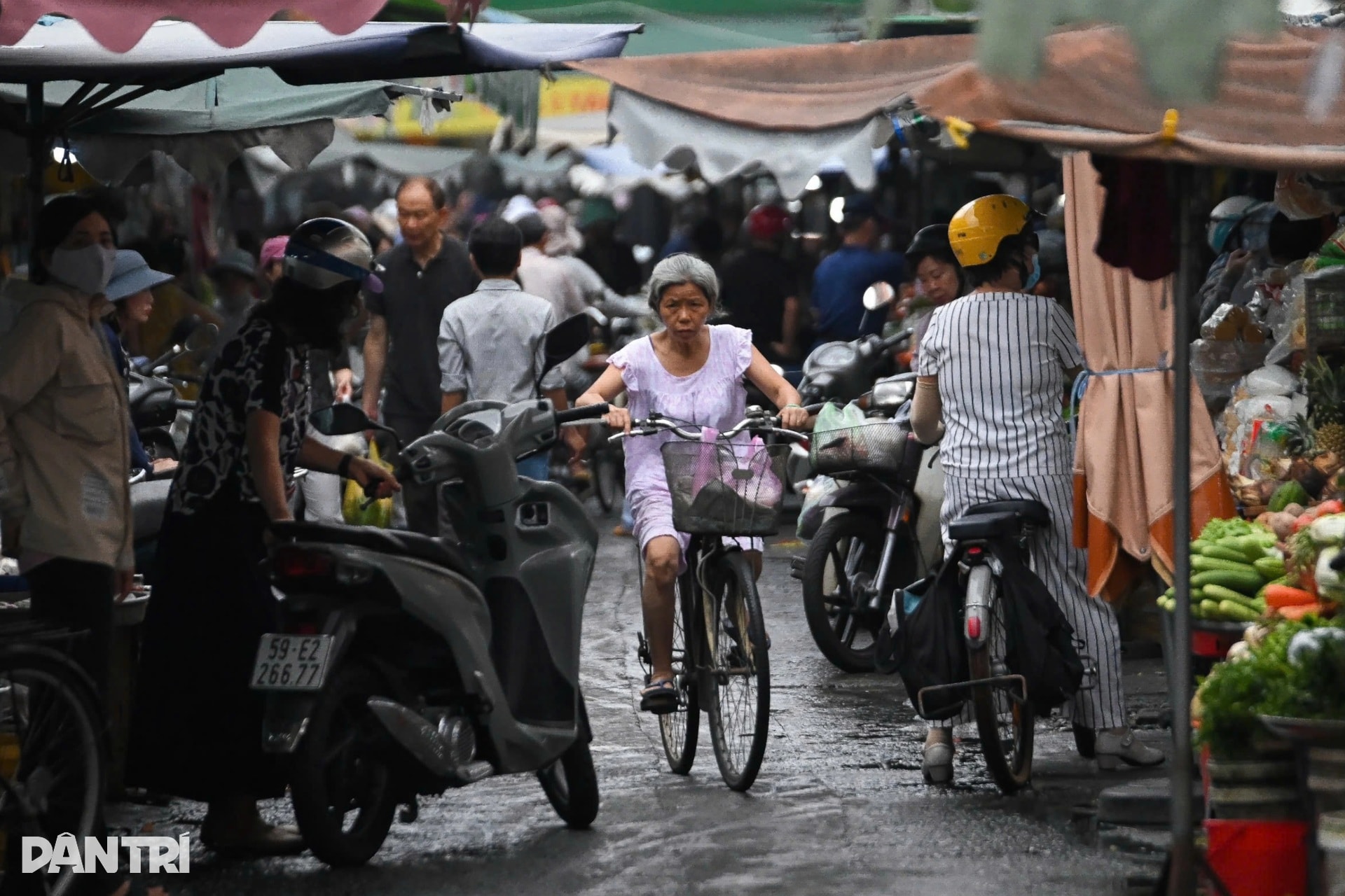 Ngắm chợ Tân Định, hơi thở Sài Gòn xưa giữa lòng đô thị - 14 Ngắm chợ Tân Định, hơi thở Sài Gòn xưa giữa lòng đô thị - 14