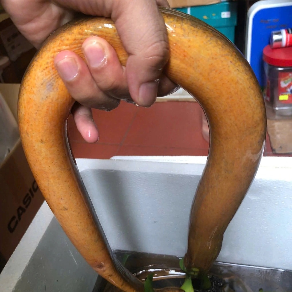 Người đàn ông hơn 20 năm gắn bó với nghề nhọc nhằn, hiểm nguy rình rập - 2