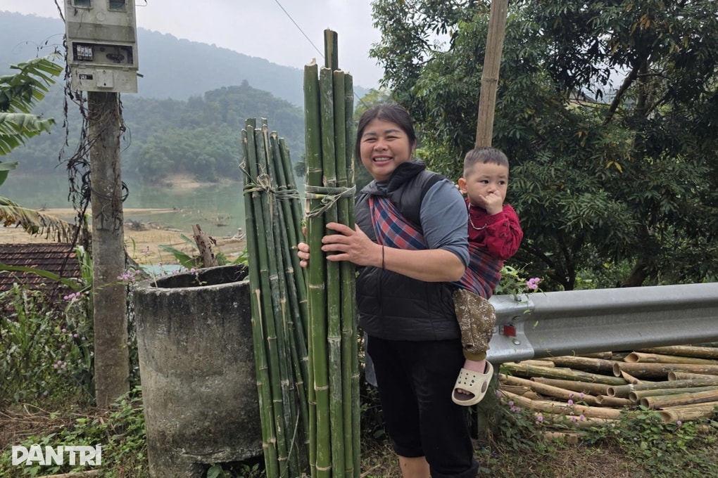 Loại cây không cần chăm sóc cho thu nhập ổn định - 2 Loại cây không cần chăm sóc cho thu nhập ổn định - 2