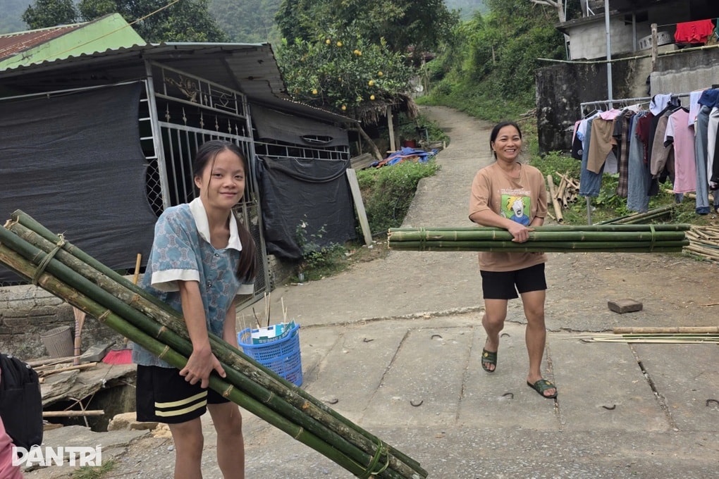 Loại cây không cần chăm sóc cho thu nhập ổn định - 3 Loại cây không cần chăm sóc cho thu nhập ổn định - 3