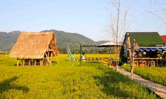 Nằm trên cánh đồng lúa, Tiệm Nhà Đô là một quán cà phê đắt khách tại Hòa Vang. Ảnh: Phan Định