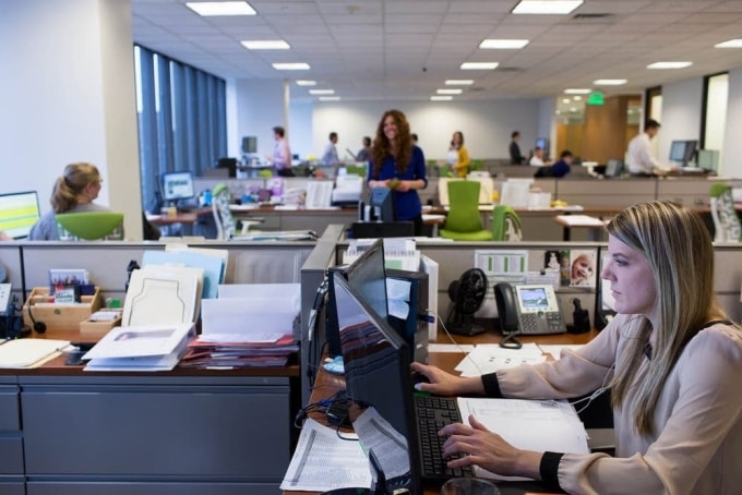 Nhân viên làm việc trong một văn phòng ở Mỹ. Ảnh: MPR News