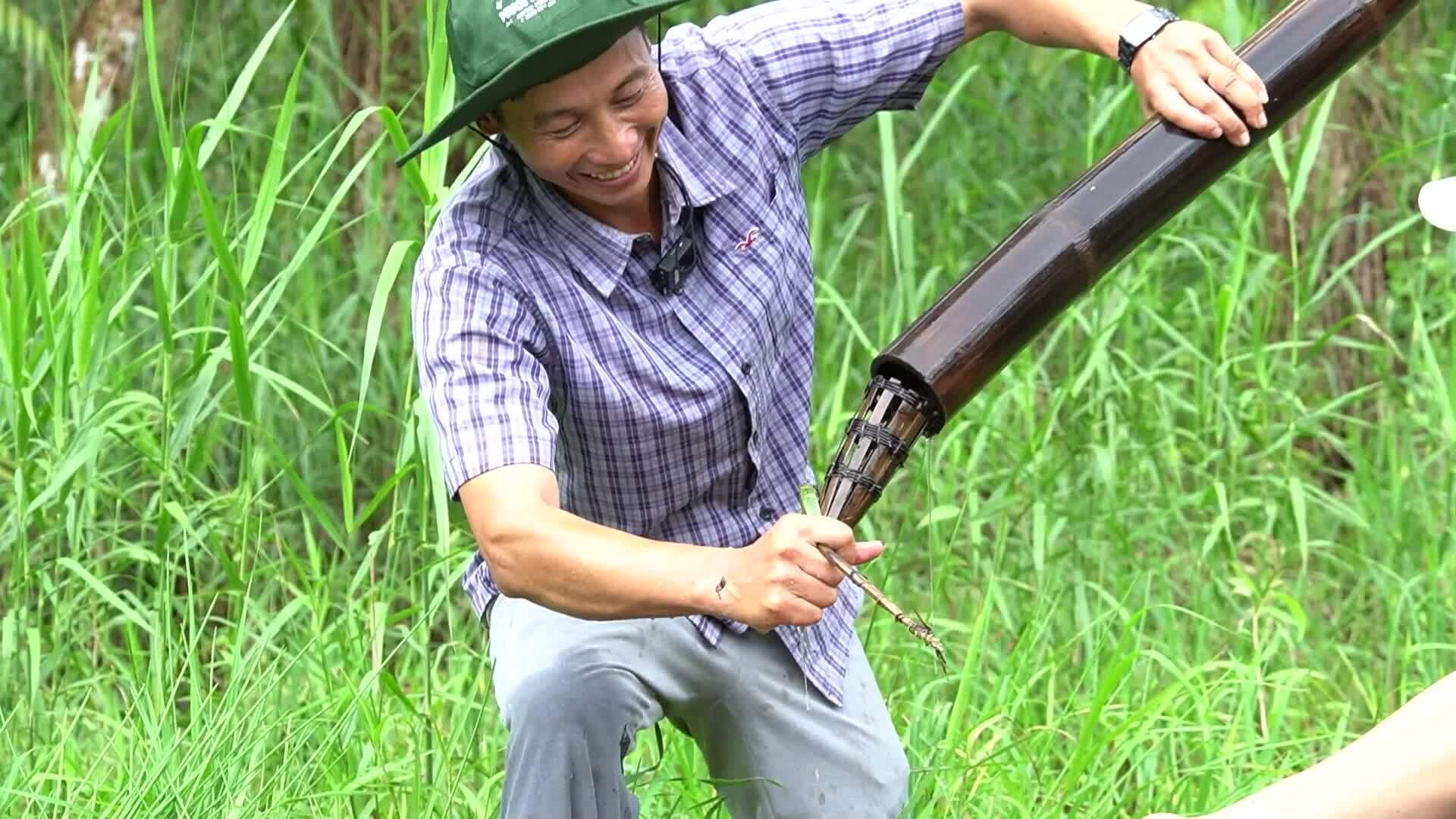 Du khách trải nghiệm bắt cá đồng, ăn ong non ở rừng tràm U Minh Hạ