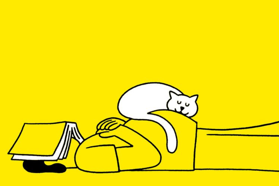 Một giấc ngủ trưa 20 phút có thể giúp bạn sống thọ hơn 