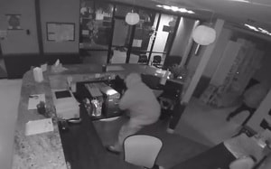 Bức ảnh khỉ đột nô đùa trong rừng gây chú ý - Ảnh 3.