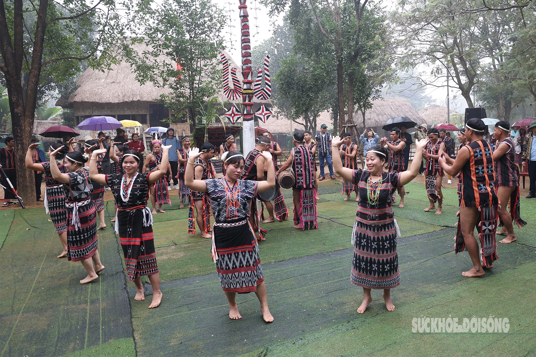 Sức mạnh nam nhi trong nghi lễ kết nghĩa của người Cơ Tu- Ảnh 9. Sức mạnh nam nhi trong nghi lễ kết nghĩa của người Cơ Tu- Ảnh 9.