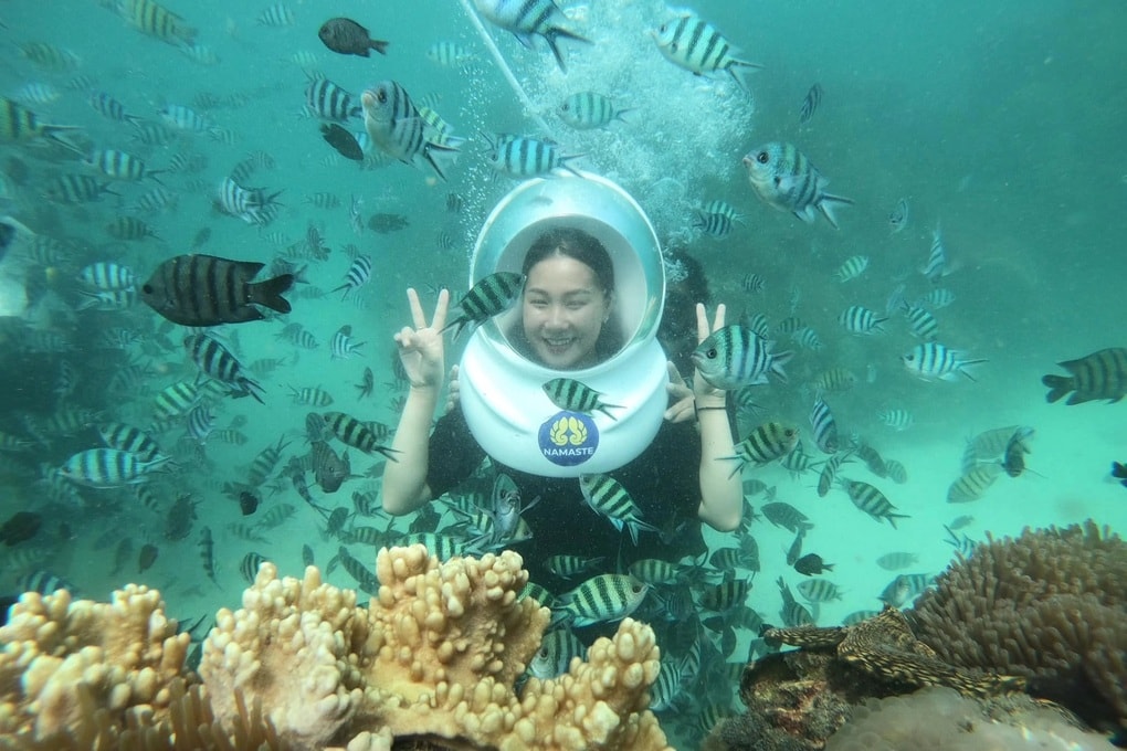 Vì sao Phú Quốc bất ngờ dẫn đầu lượt tìm kiếm điểm du lịch dịp cuối năm? - 1 Vì sao Phú Quốc bất ngờ dẫn đầu lượt tìm kiếm điểm du lịch dịp cuối năm? - 1