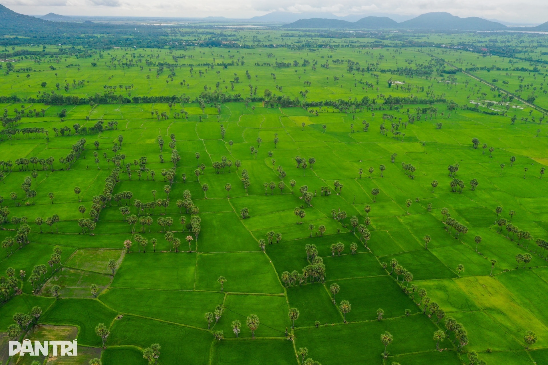 Đột phá chính sách giúp hồi sinh làng nghề, nâng cao đời sống người dân - 2 Đột phá chính sách giúp hồi sinh làng nghề, nâng cao đời sống người dân - 2