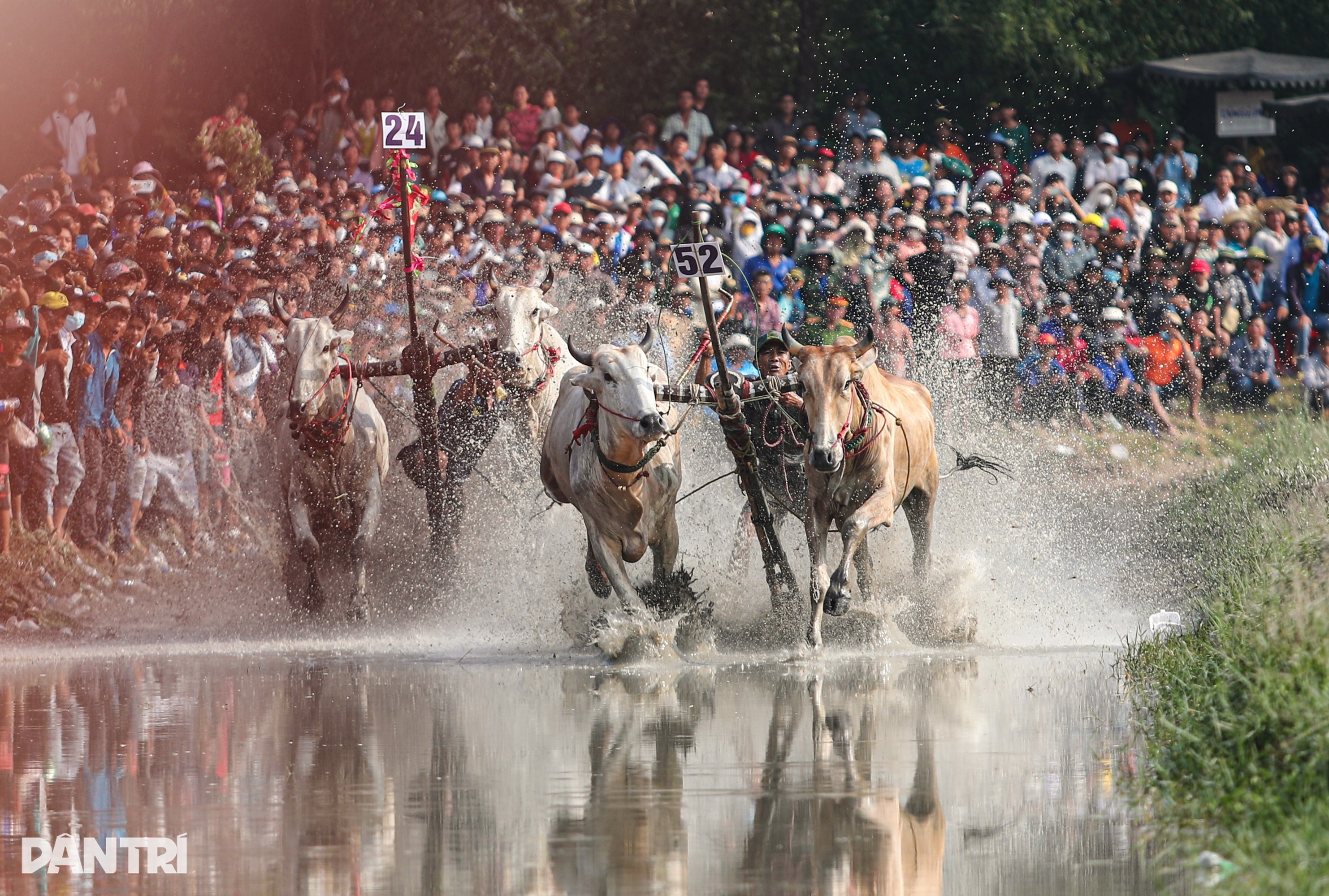 Đột phá chính sách giúp hồi sinh làng nghề, nâng cao đời sống người dân - 3 Đột phá chính sách giúp hồi sinh làng nghề, nâng cao đời sống người dân - 3