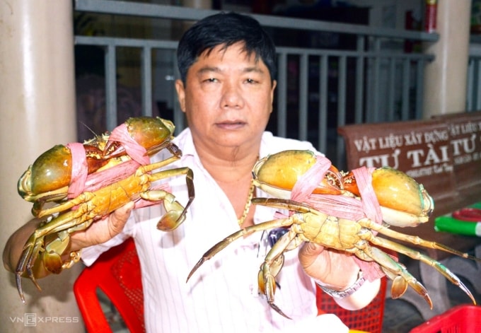 Hơn 80 % sản lượng cua Cà Mau được tiêu thụ qua thương lái. Ảnh: Chúc Ly