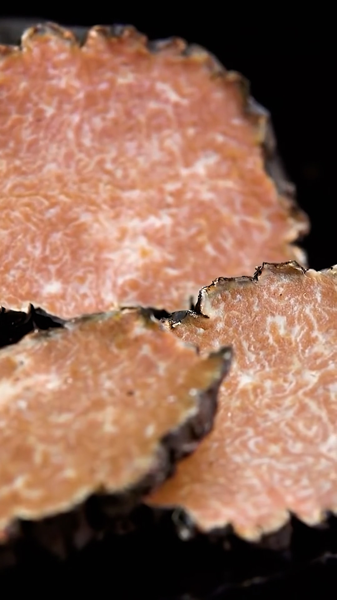 Vì sao nấm Truffle đắt đỏ?