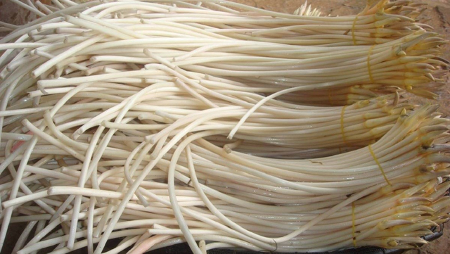 2 loại rau dễ là nơi “ổ ký sinh trùng” ẩn náu, nhất loại đầu bảng ngoài chợ có đầy - Ảnh 2.