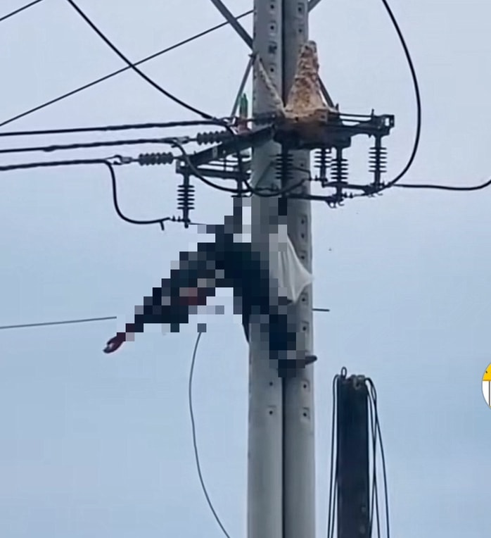 Cần Thơ: Liều lĩnh trèo lên trụ điện bắt ong, bị điện giật tử vong. - Ảnh 1.