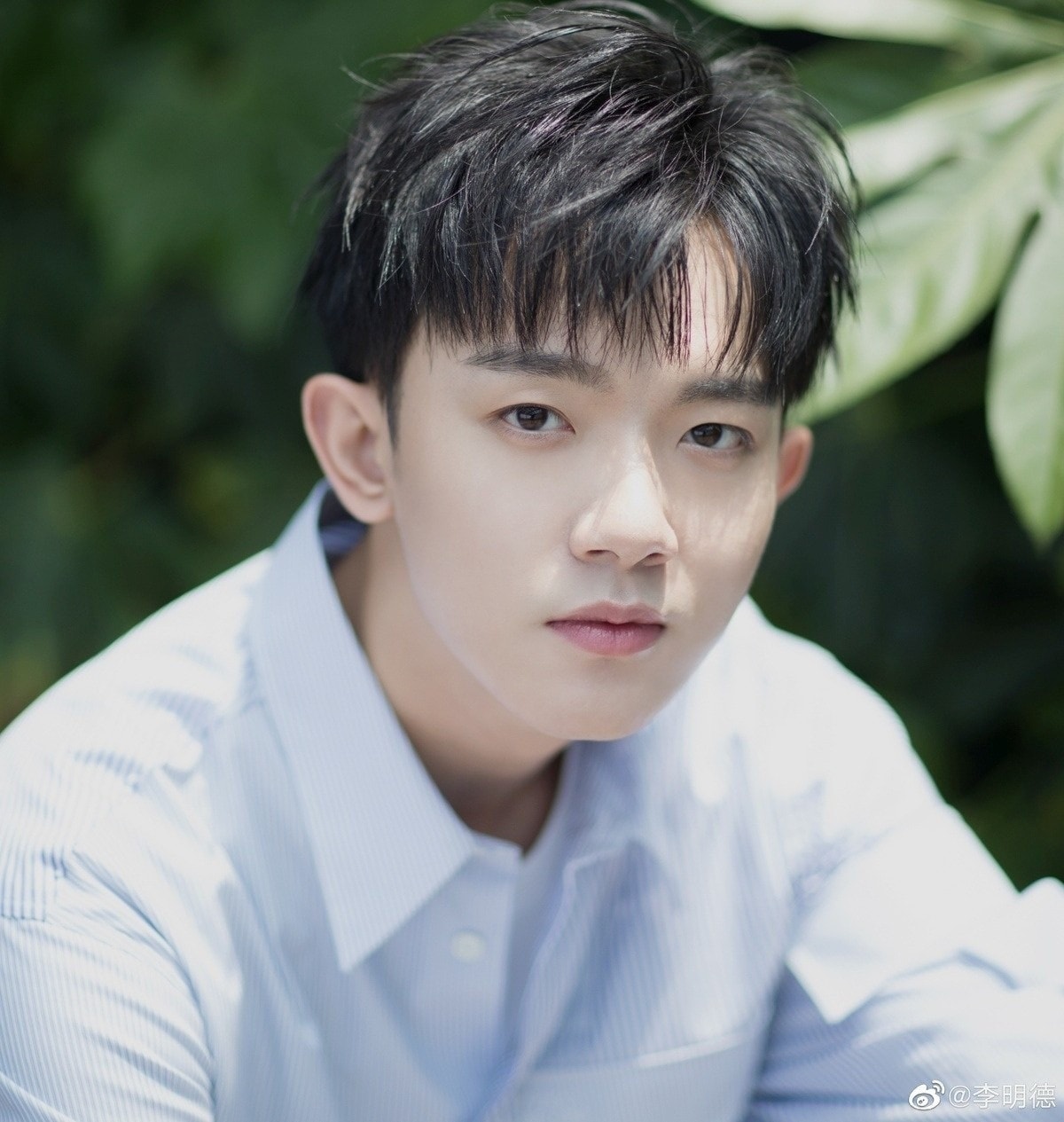 nghe si Hoa ngu anh 1