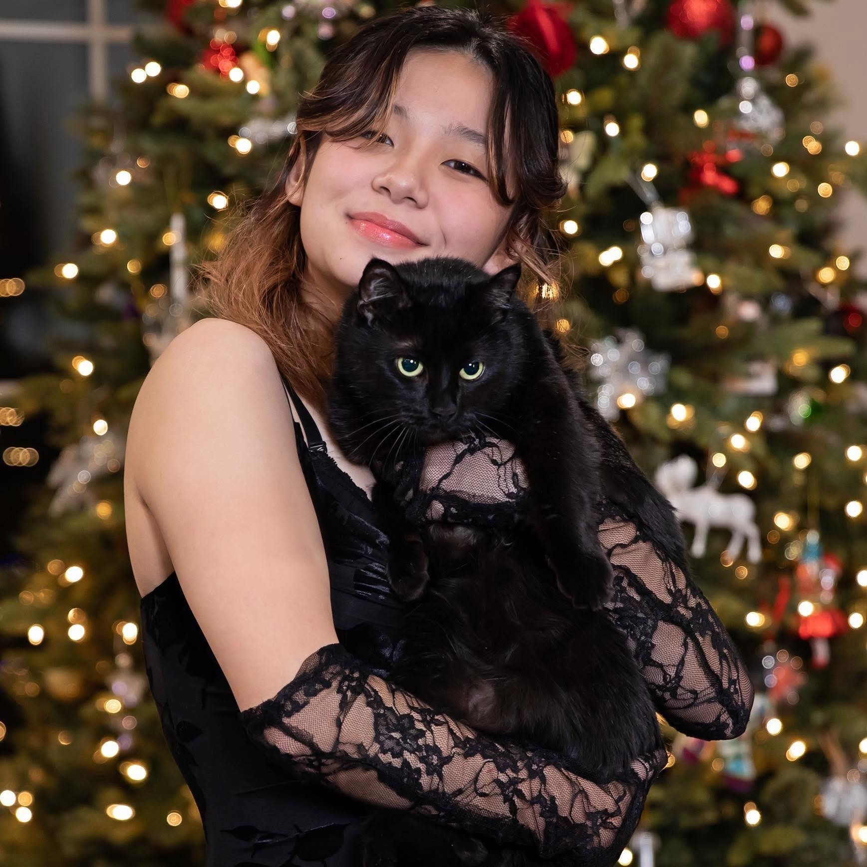 Việt Anh ảnh 1 Viet Anh anh 1