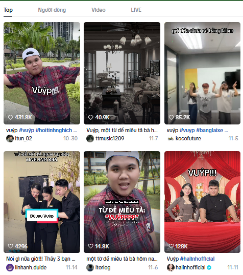 (Ảnh chụp màn hình Tiktok)