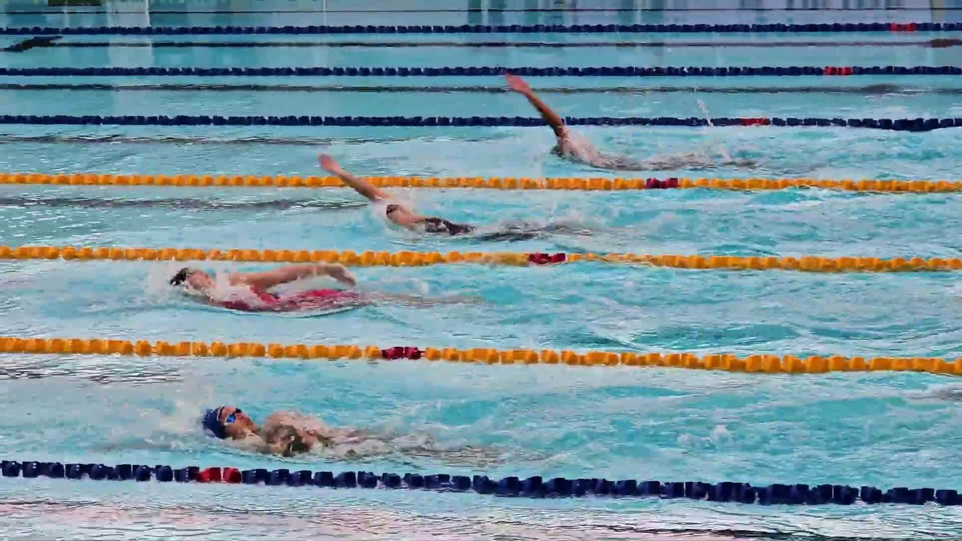 Kình ngư đập đầu vào thành bể vì lỗi đặt cờ ở SEA Games 33