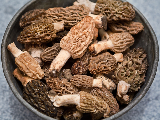 Loại cây dại mọc um tùm ở Việt Nam, "trời Tây" bán giá 13 triệu đồng/kg - Ảnh 3.