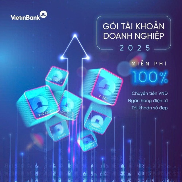 VietinBank mở rộng chính sách ưu đãi phí vượt trội cho Gói tài khoản doanh nghiệp - Ảnh 1.