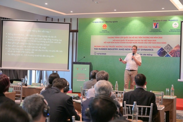 Ngành cao su xuất khẩu đạt 11,6 tỉ USD, khai phá thị trường tín chỉ carbon - Ảnh 5.