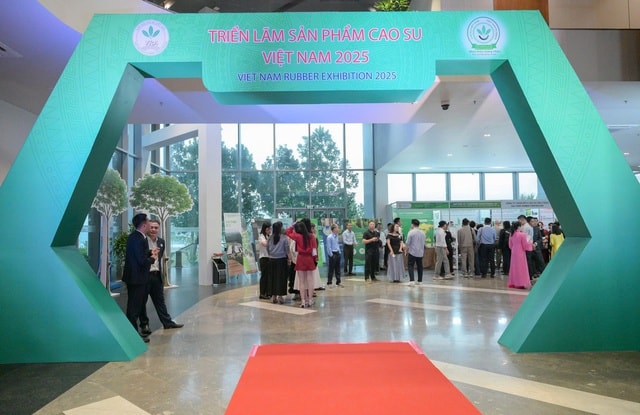 Ngành cao su xuất khẩu đạt 11,6 tỉ USD, khai phá thị trường tín chỉ carbon - Ảnh 2.
