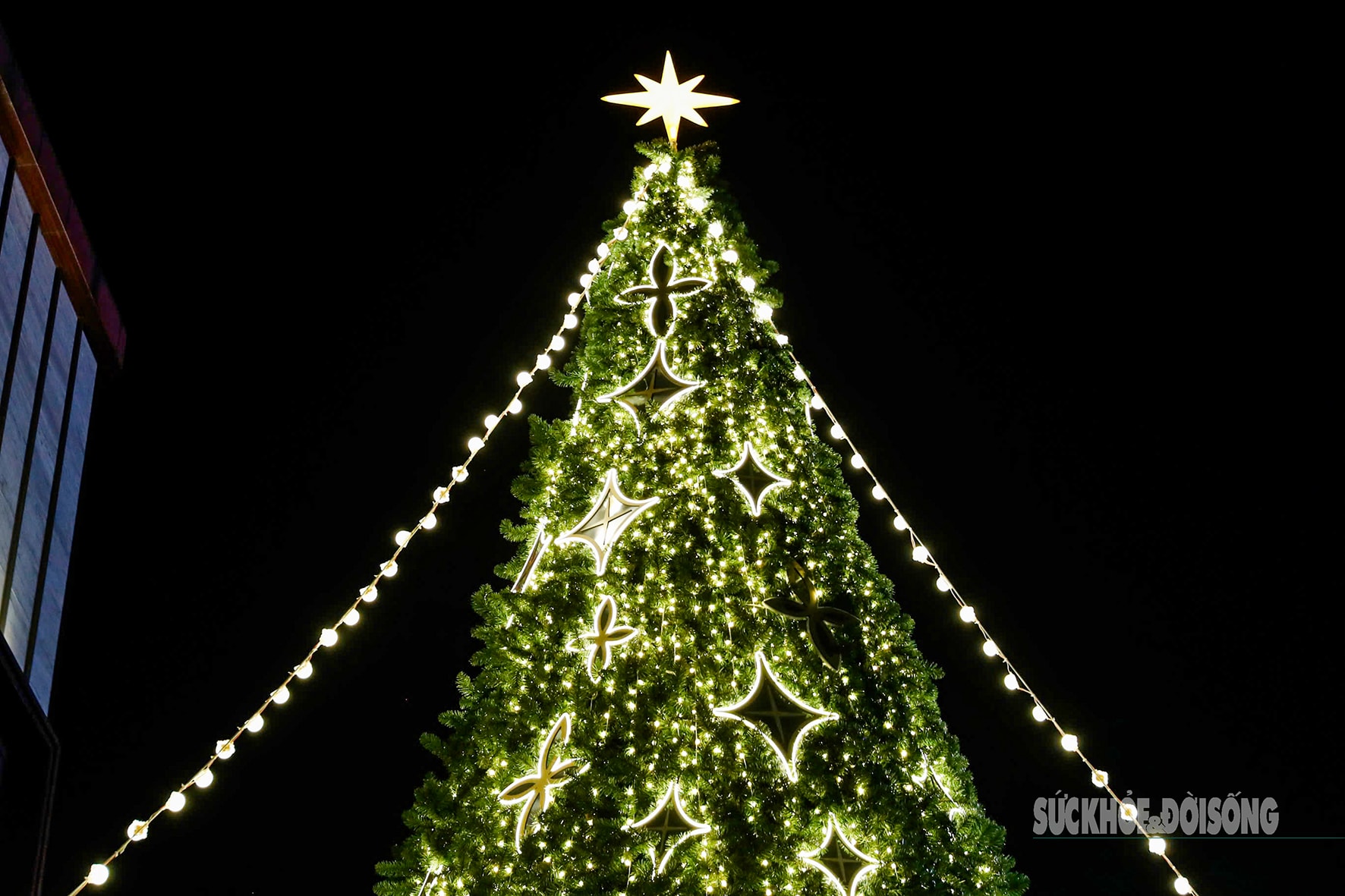 Hà Nội lung linh với hàng loạt cây thông Noel khổng lồ- Ảnh 9.