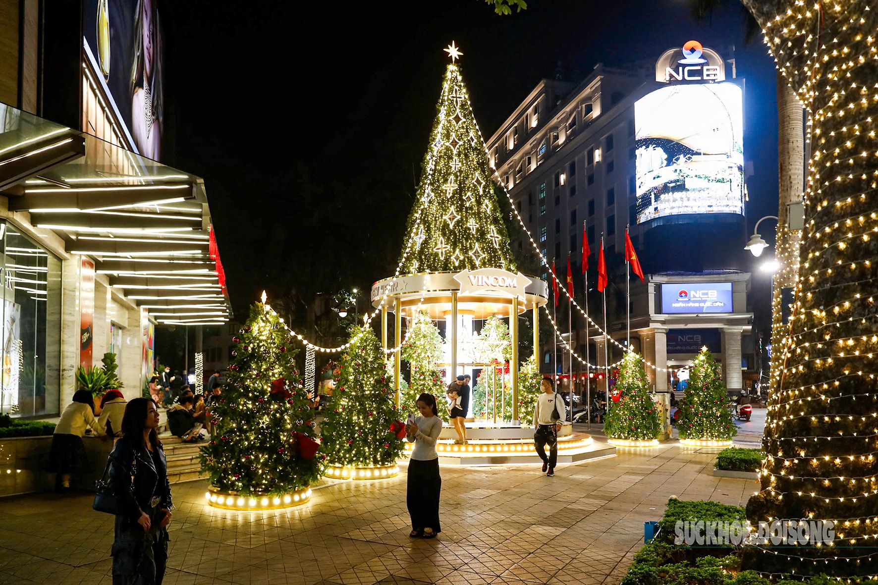 Hà Nội lung linh với hàng loạt cây thông Noel khổng lồ- Ảnh 3.