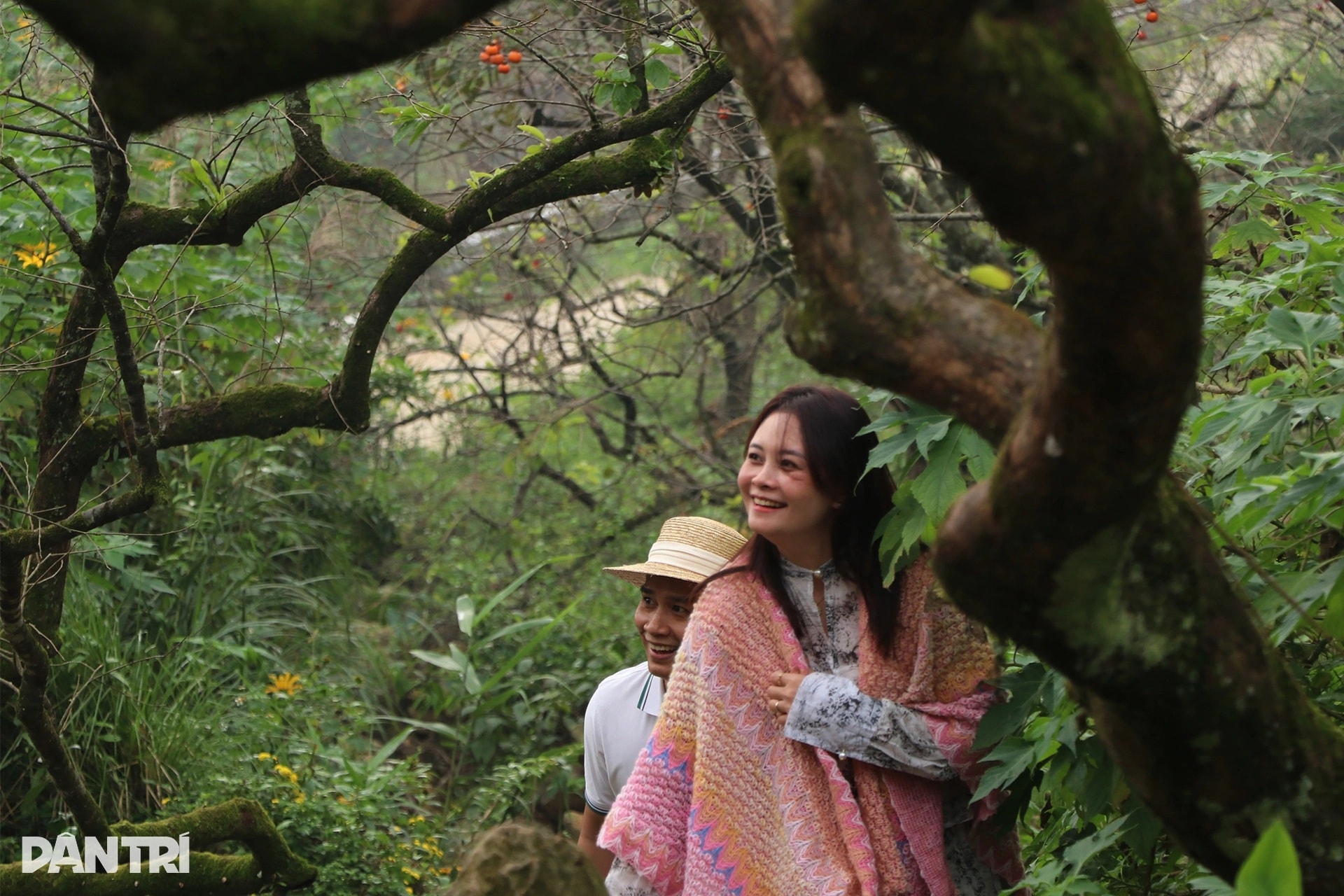 Vẻ đẹp của vườn hồng chín đỏ giữa màn sương mờ ảo ngày đông hút khách - 9