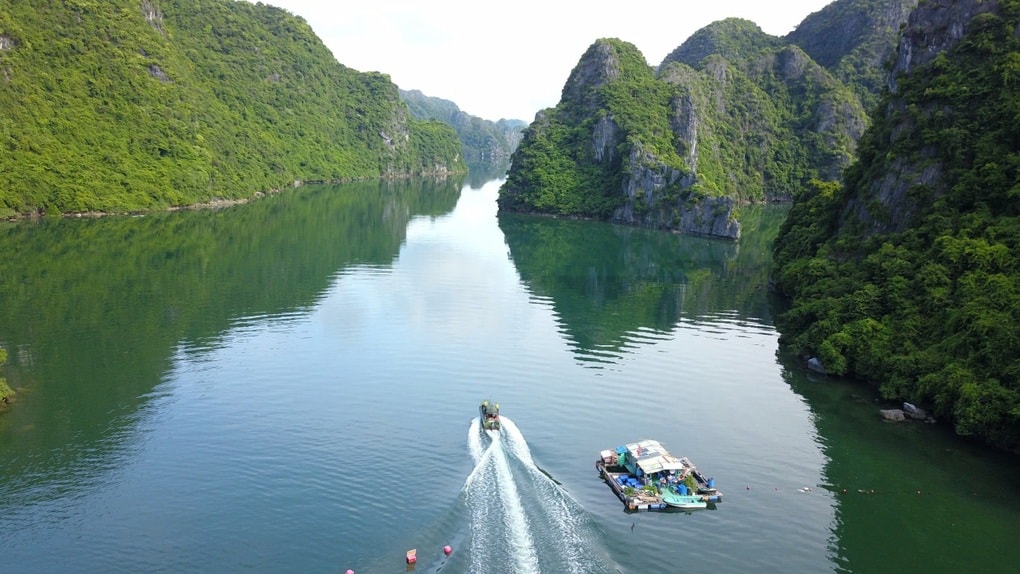 Hệ sinh thái và văn hóa bản địa làm nên giá trị cho quần đảo Cát Bà - 1 Hệ sinh thái và văn hóa bản địa làm nên giá trị cho quần đảo Cát Bà - 1