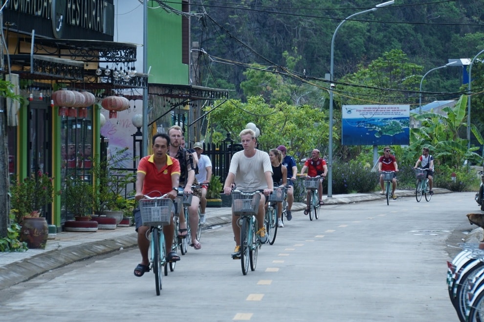 Hệ sinh thái và văn hóa bản địa làm nên giá trị cho quần đảo Cát Bà - 3 Hệ sinh thái và văn hóa bản địa làm nên giá trị cho quần đảo Cát Bà - 3