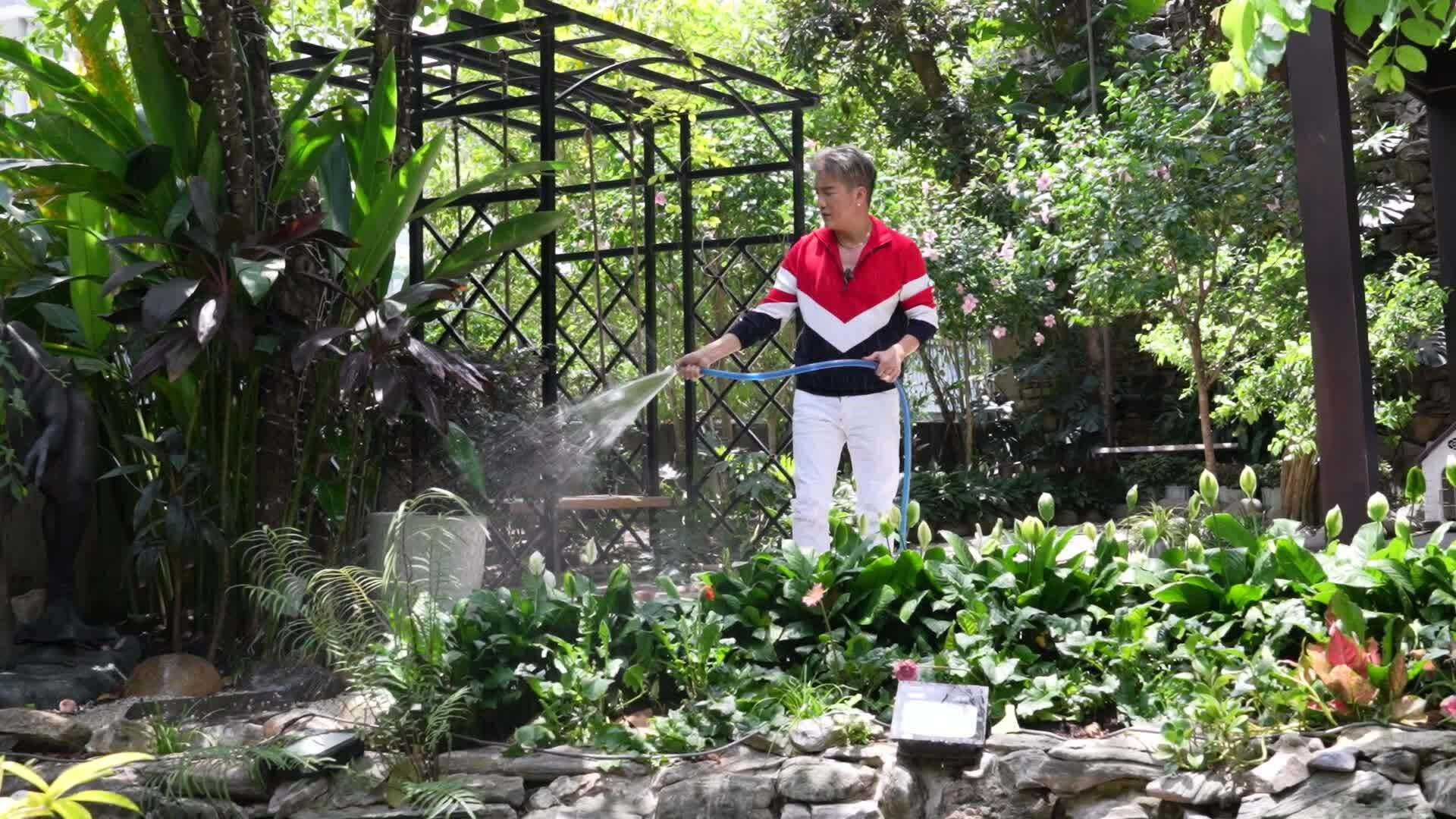 Khu vườn tại biệt thự 500 m2 của Đàm Vĩnh Hưng