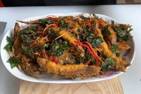 Loại cá được ví như "nhân sâm dưới nước", xuất hiện trong nhiều bài thuốc Đông y - Ảnh 2.