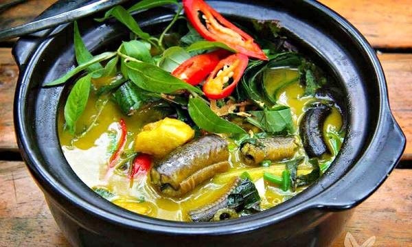 Loại cá được ví như "nhân sâm dưới nước", xuất hiện trong nhiều bài thuốc Đông y - Ảnh 4.